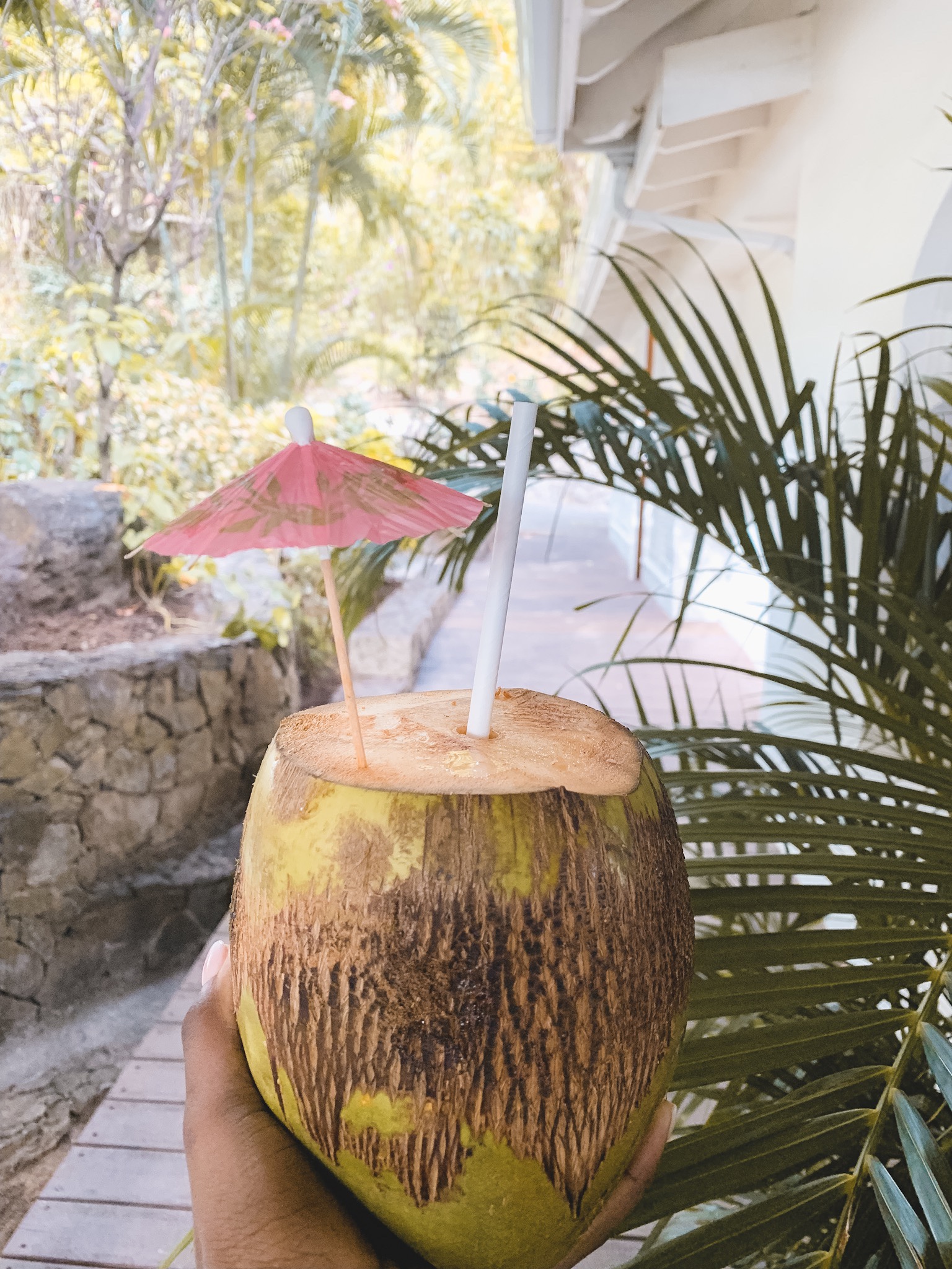 coconut water on arrival. #honeymoongoals #stlucia #sugarbeach photo c/o: @goodtomicha