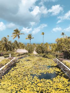 Sugar Beach- Viceroy Resort in St. Lucia Review