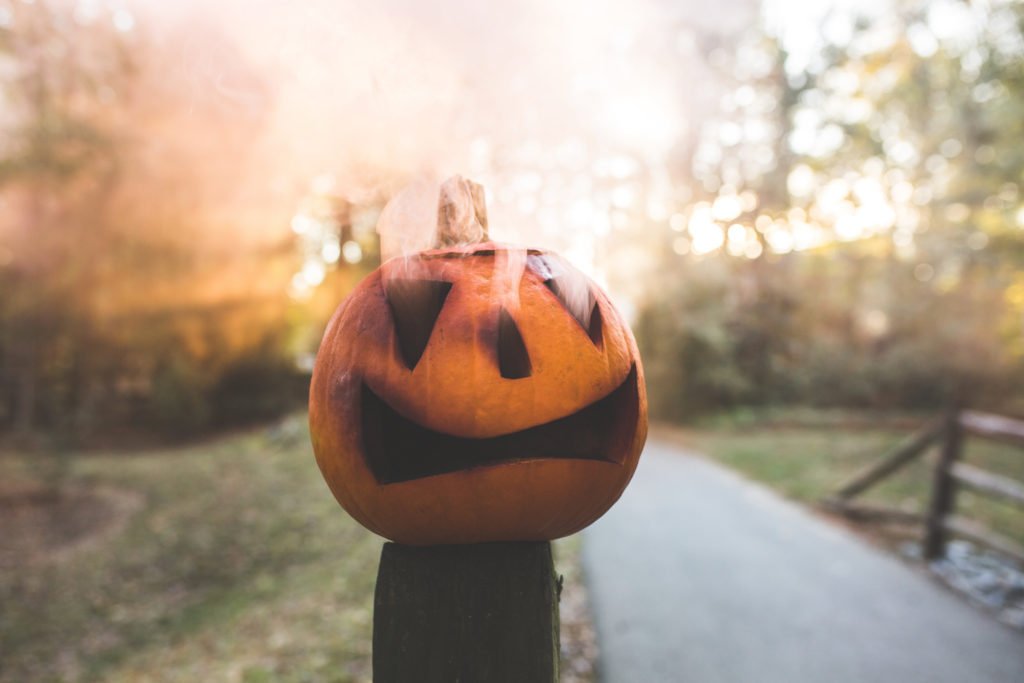 halloween pumpkin photography