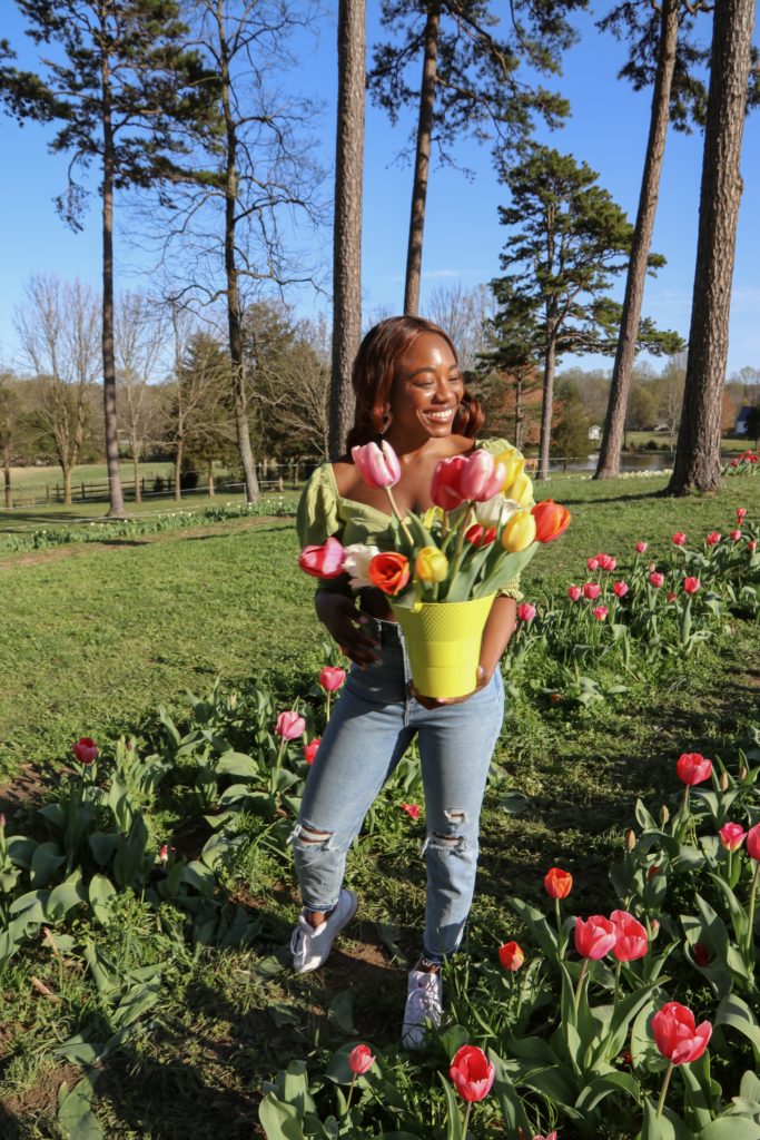 Enjoy picking tulip flowers at Dewberry Farms Spring 