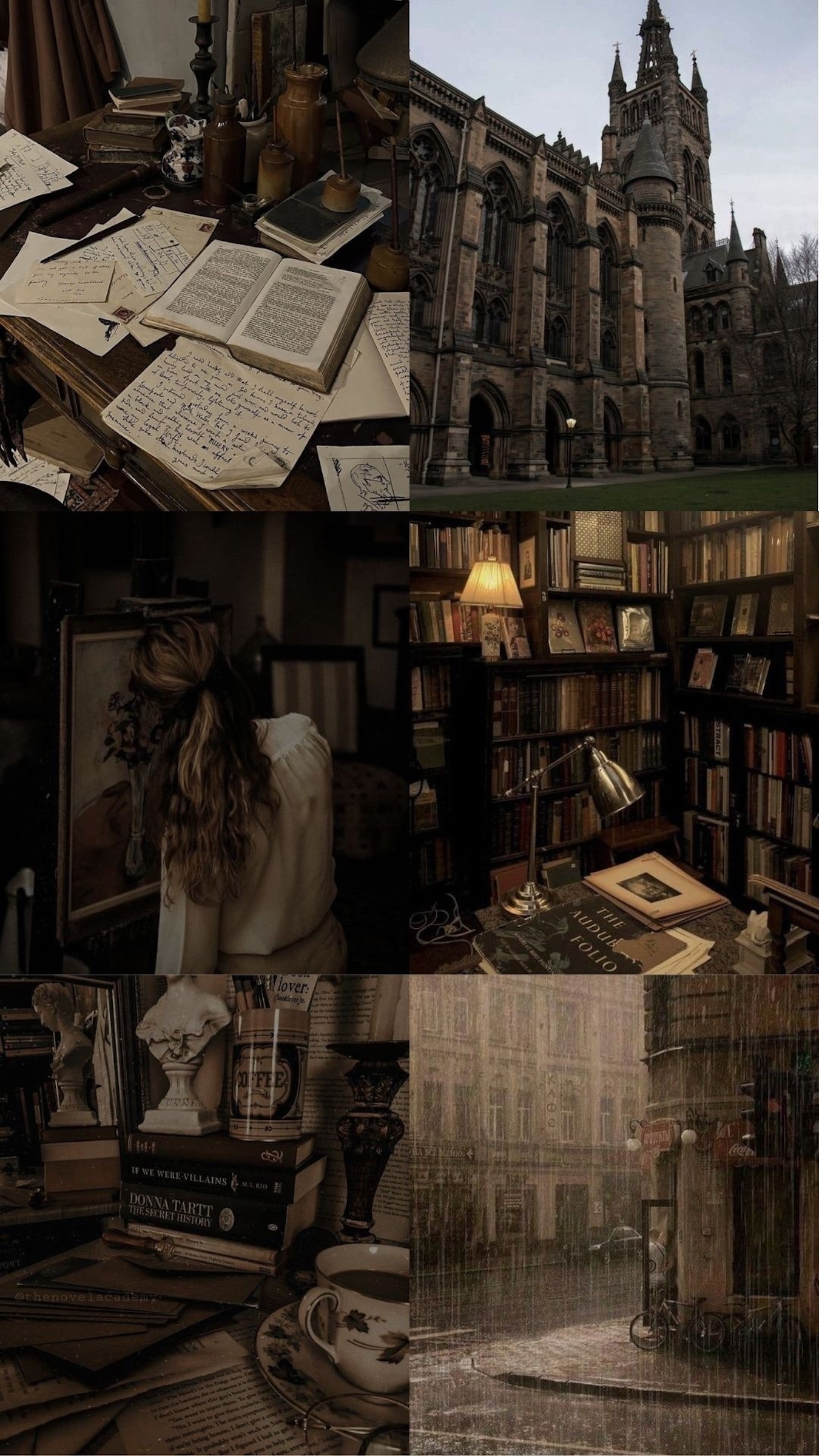 dark academia mood board pinterest vibes